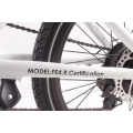 Morden Design 36V350W mini faltendes elektrisches Fahrrad mit niedrigem Preis, 20 &#39;&#39; ebike